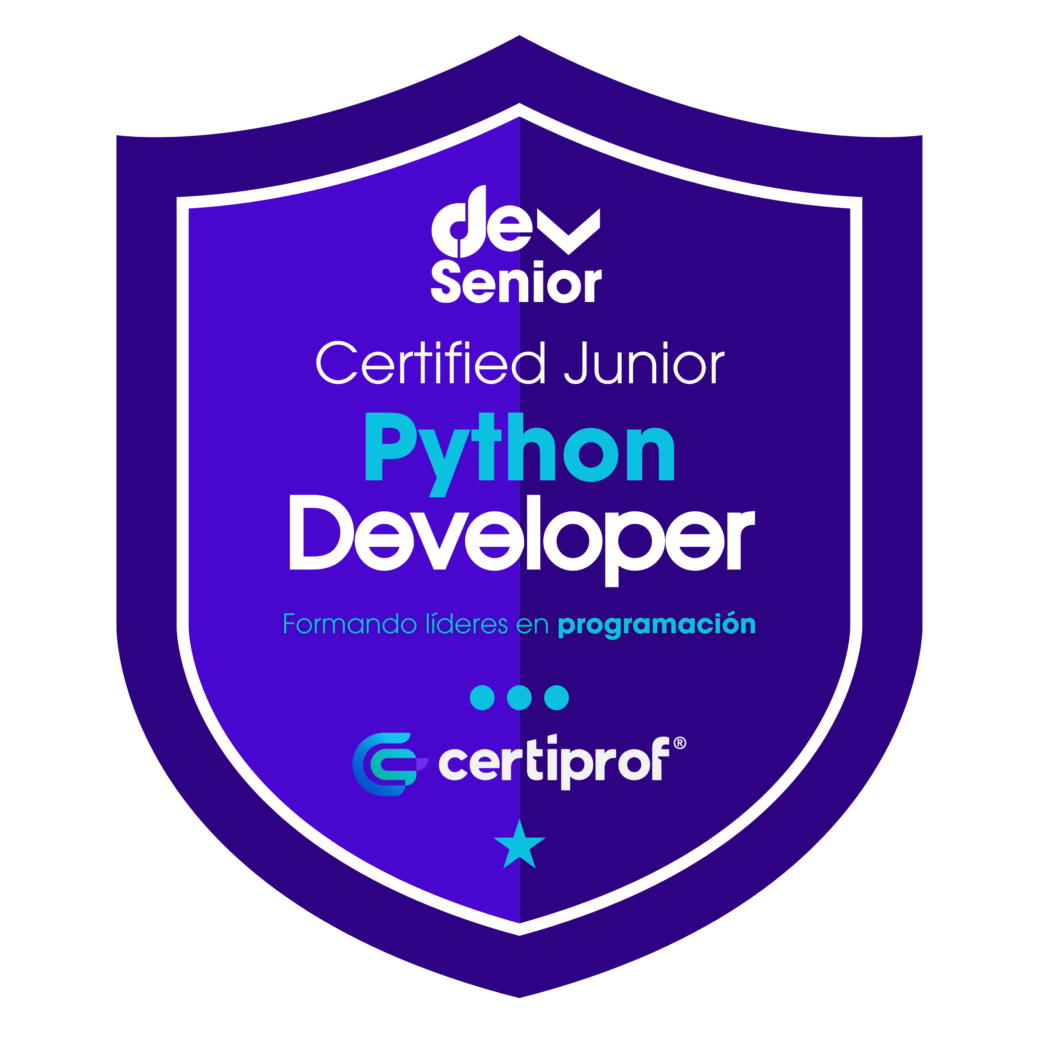 Insignia Python Junior Developer